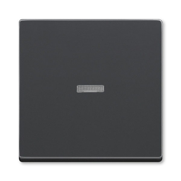 KLAWISZ PODJEDYNCZY DO WYŁACZNIKÓW: 1-BIEGUNOWEGO, SCHODOWEGO, KRZYŻOWEGO I DO PRZYCISKU ZWIERNEGO Z OKIENKIEM, Future® linear, Solo®, Solo® carat, antracyt