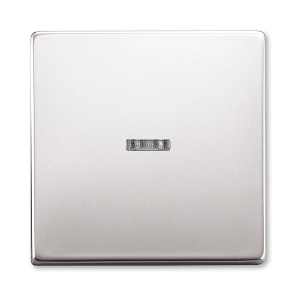 KLAWISZ PODJEDYNCZY DO WYŁACZNIKÓW: 1-BIEGUNOWEGO, SCHODOWEGO, KRZYŻOWEGO I DO PRZYCISKU ZWIERNEGO Z OKIENKIEM, Future® linear, stal nierdzewna