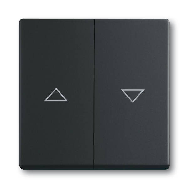 KLAWISZ Z NADRUKIEM DO WYŁĄCZNIKA/PRZYCISKU ŻALUZJOWEGO, Future® linear, czarny mat