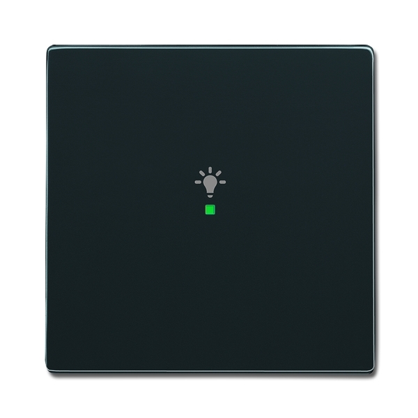 KLAWISZ ŚWIATŁO 1-KROTNY -FREE@HOME, Future® linear, Solo®, Solo® carat, antracyt