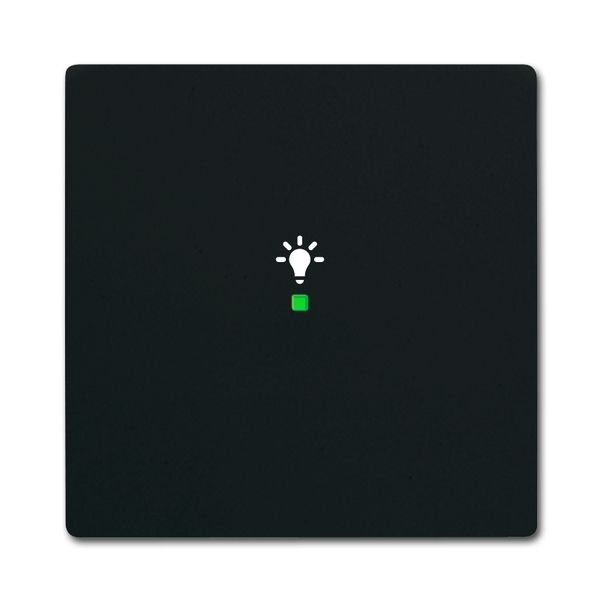 KLAWISZ ŚWIATŁO 1-KROTNY -FREE@HOME, Future® linear, czarny mat