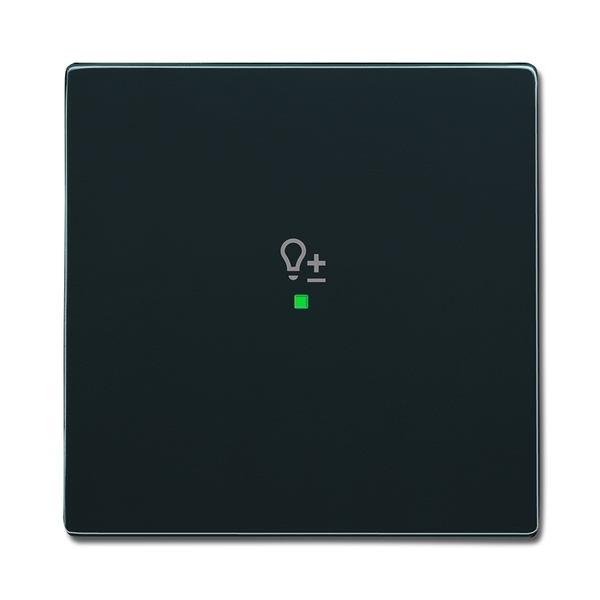 KLAWISZ ŚCIAMIACZA 1-KROTNY -FREE@HOME, Future® linear, Solo®, Solo® carat, antracyt