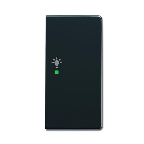 KLAWISZ 1/2- POŁOWA PRAWA ŚWIATŁO -FREE@HOME-, Future® linear, Solo®, Solo® carat, antracyt