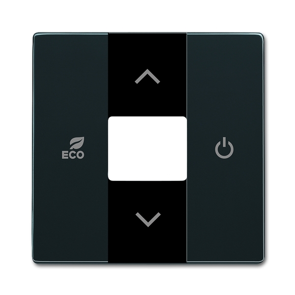 PLAKIETKA CENT. RTR -FREE@HOME-, Future® linear, Solo®, Solo® carat, antracyt