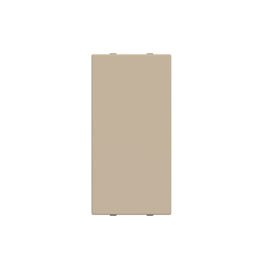 N2100 CV^ZAŚLEPKA -ZENIT-SZAMPAŃSKI, szampański