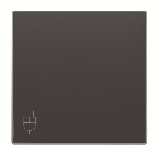 POKRYWA GNIAZDA SCHUKO Z KLAPKĄ, czarny mat