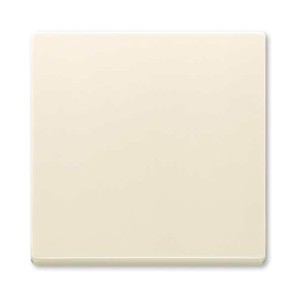 KLAWISZ PODJEDYNCZY DO ŁACZNIKÓW: 1-BIEGUNOWEGO, SCHODOWEGO, KRZYŻOWEGO I DO PRZYCISKU ZWIERNEGO, Future® linear, Solo®, Solo® carat, kość słoniowa