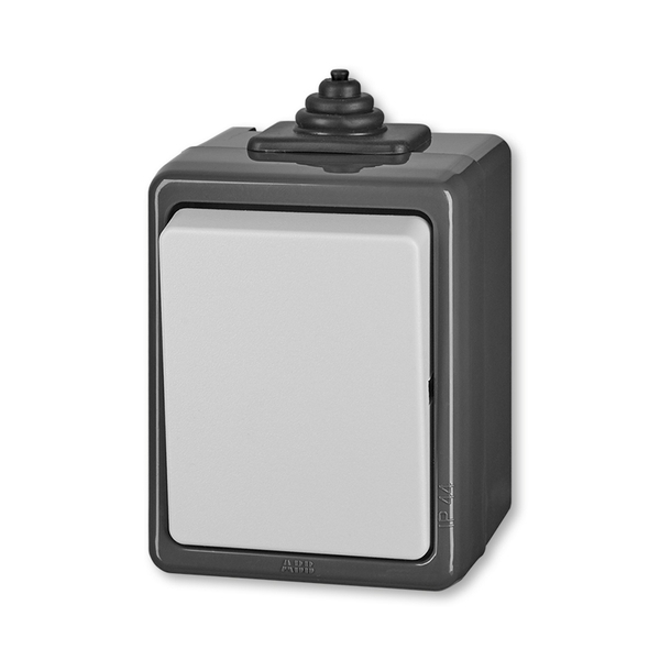 PRZYCISK ZWIERNY IP 44 -CLASSIC-SZARY, Praktik, szary